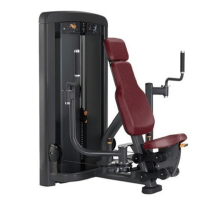 Pectoral Fly Chest Press