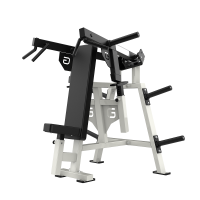 Shoulder Press Machine 