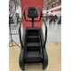Stair Climber Stepper