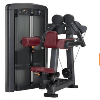 Shoulder Lifting Lateral Raise Machine