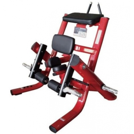 Kneeling Leg Curl