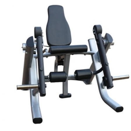 Leg Extension