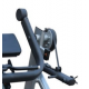 Biceps Curl