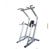 Chin/Dip/Leg Raising Machine
