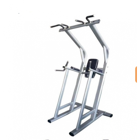 Chin/Dip/Leg Raising Machine