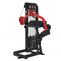 Triceps Machine