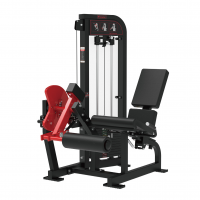 SEATED LEG EXTENSION