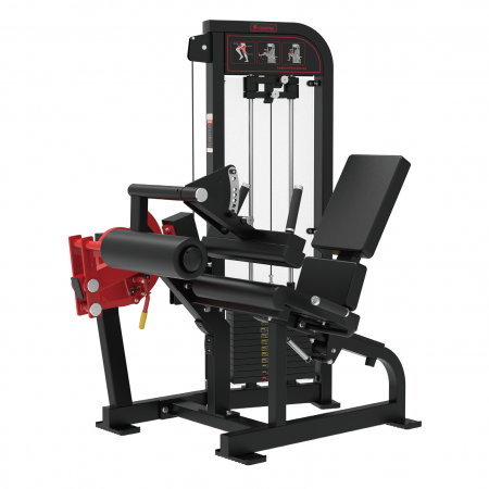SEATED LEG CURL