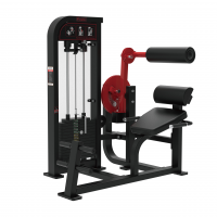 Back Extension and Abdominal Crunch