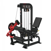 seated leg curl extension