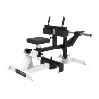 Seated Calf Raise Exercise Trainer