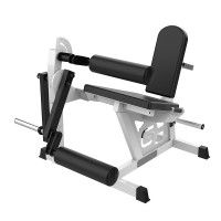Leg Curl Leg Extension