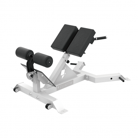 Roman Chair Adjustable Back Hyperextension Bench