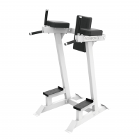 Multifunction Leg Raise