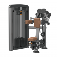 Seated Lateral Raise