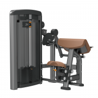 Pin-loaded Biceps&Triceps 