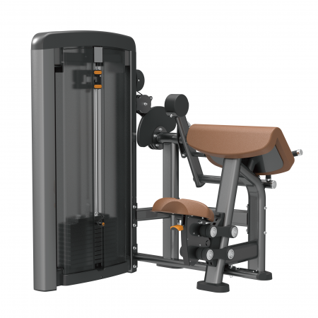 Pin-loaded Biceps&Triceps 