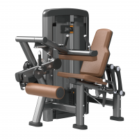 Leg Curl Leg Extension