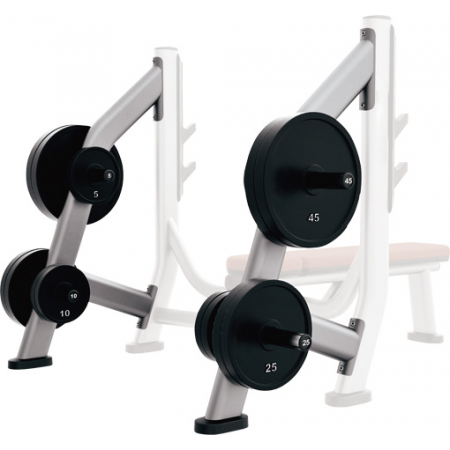Olympic Bench Weight Storage