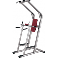 Chin/Dip/Leg Raising Machine