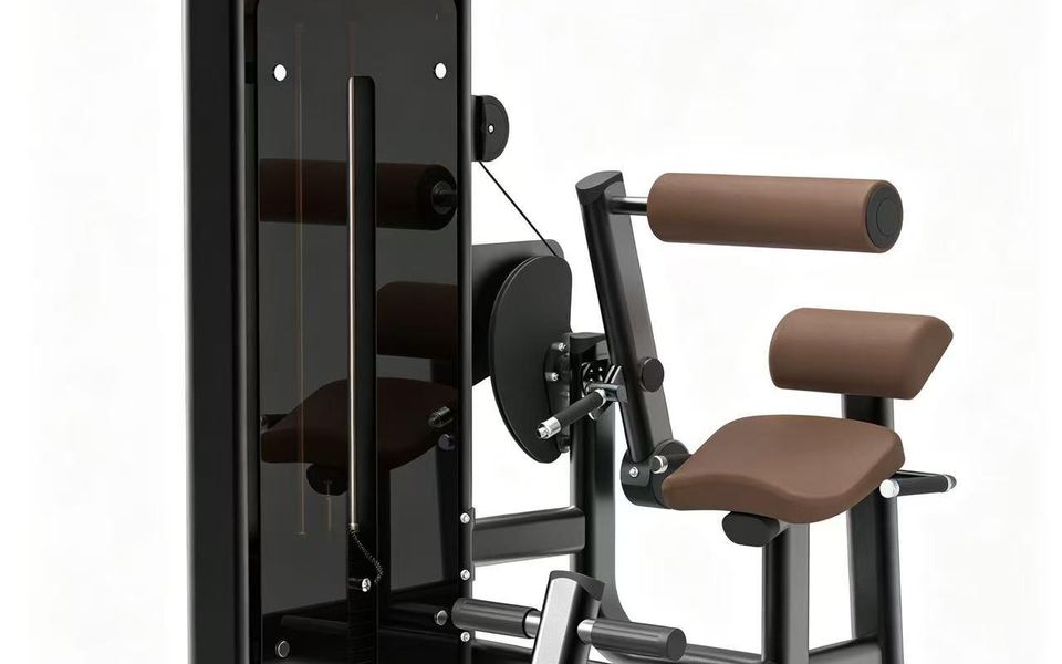 DM0809 Back & Abdominal Machine