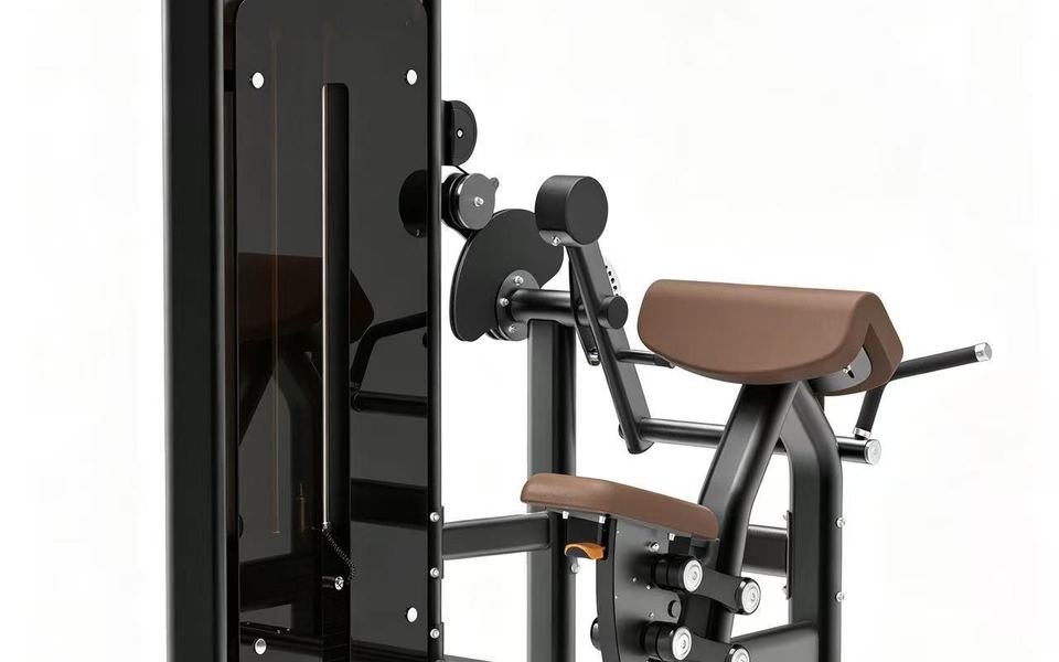 DM0506 Biceps & Triceps Machine