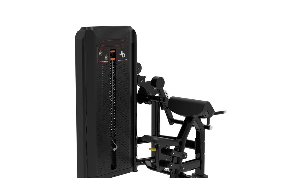 GW0506 Biceps & Triceps Machine