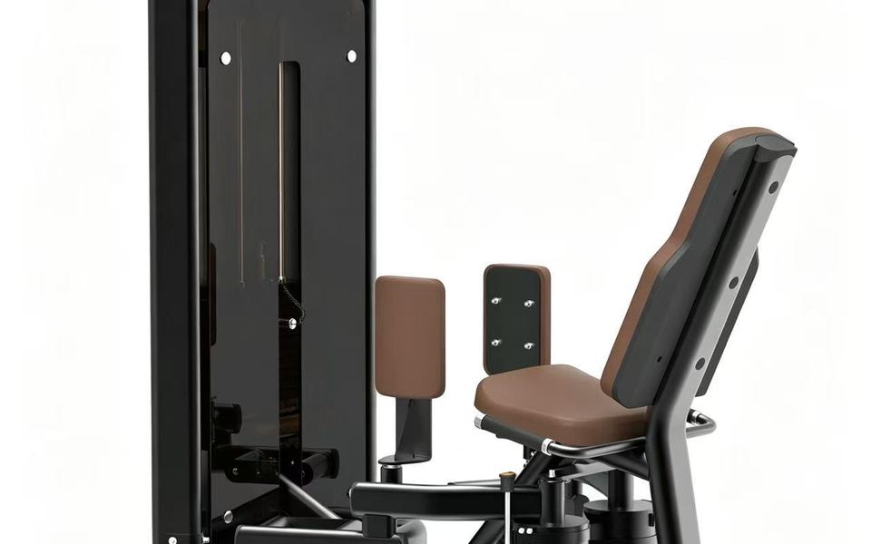 DM1516 Leg Curl & Extension