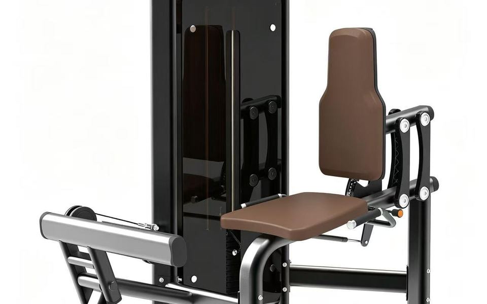 DM020  Calf Extension Machine