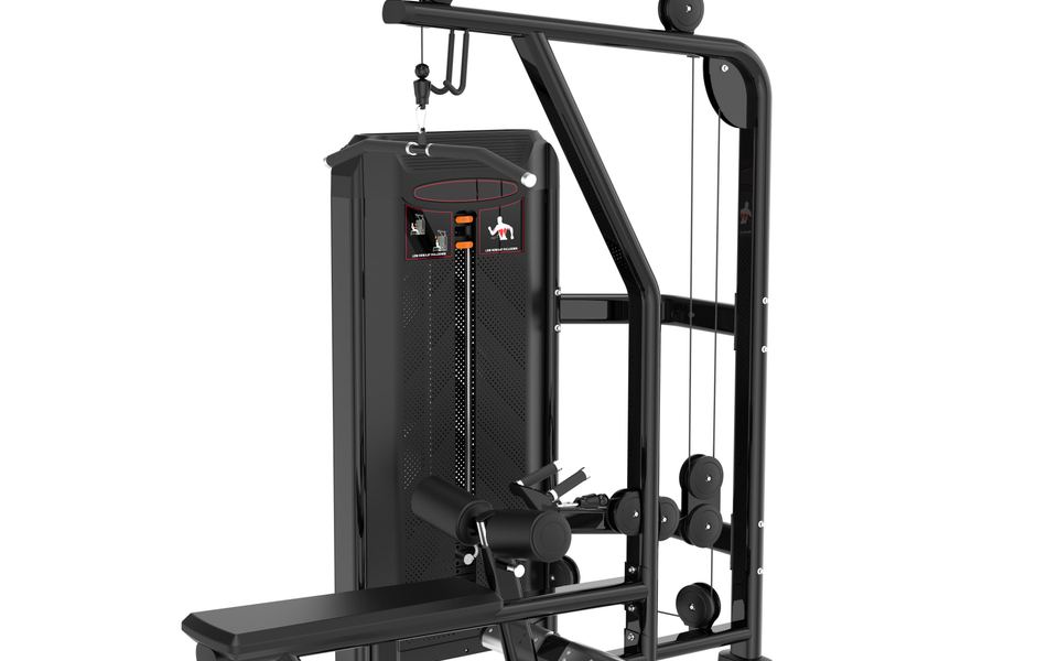 GW1314 Lat Pulldown & Low Row