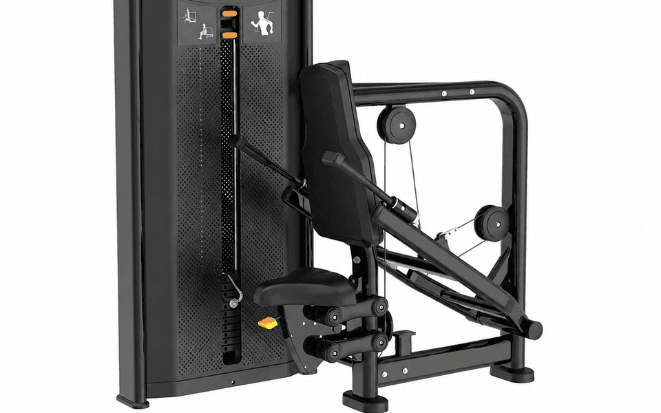 GW006 Triceps Machine
