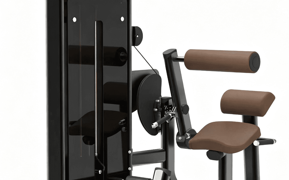 DM008   Back Extension