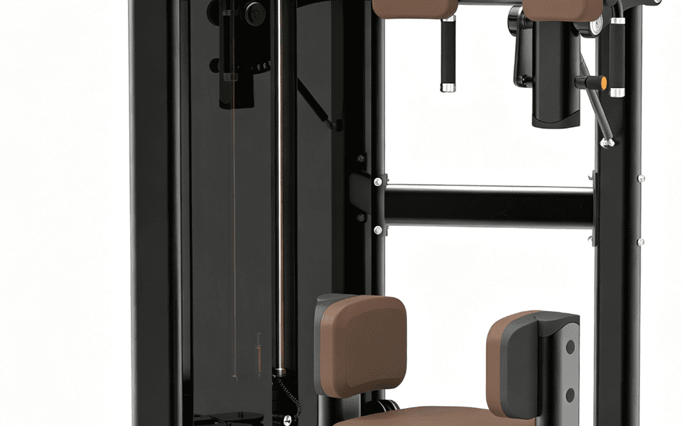 DM011  Torso Rotation Machine