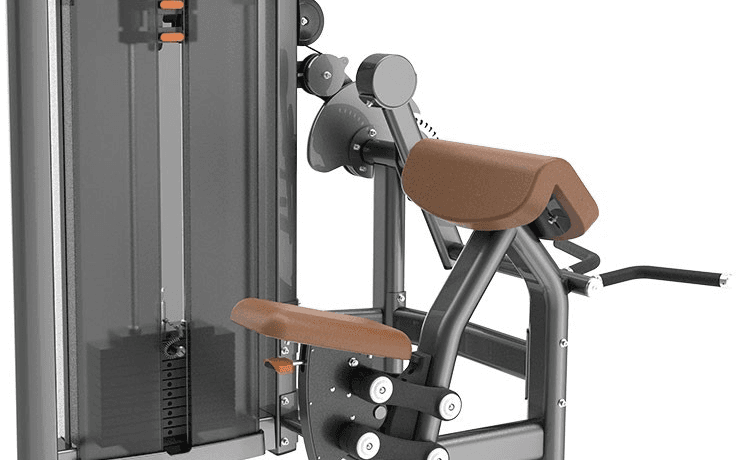 SN0506 Biceps & Triceps Machine