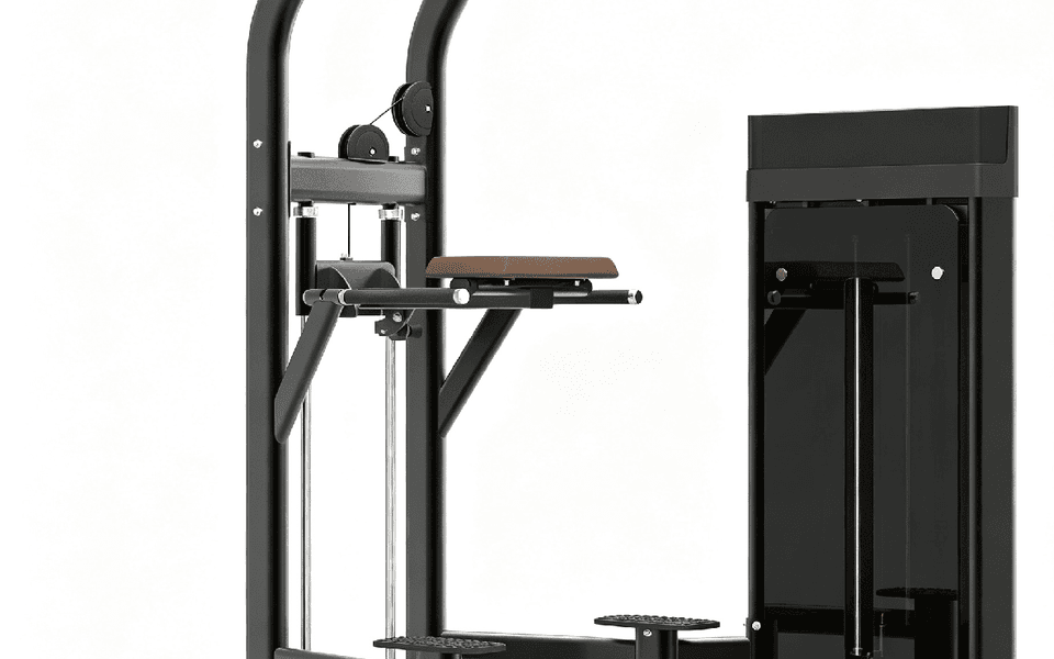 DM007  Assisted Chin Up/Dip