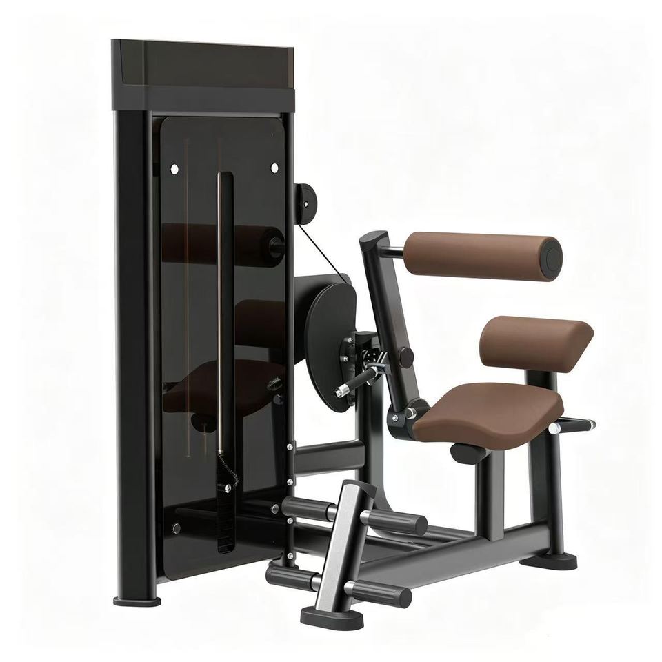 DM0809 Back & Abdominal Machine