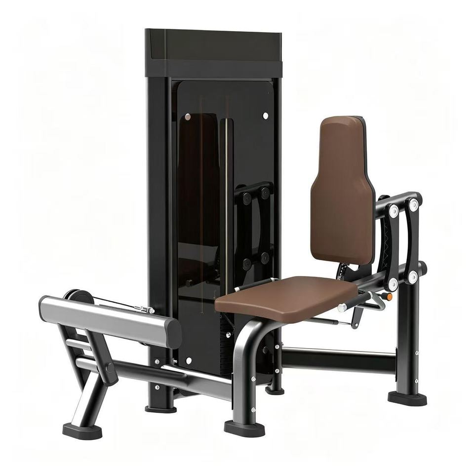 DM020  Calf Extension Machine