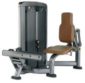 SN020  Calf Extension Machine
