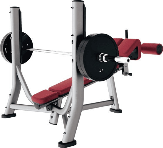 SNX038  Olympic Decline Bench