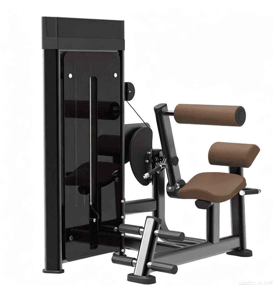 DM008   Back Extension