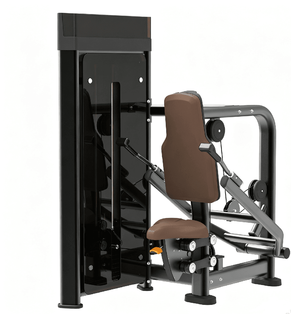 DM006  Triceps Machine