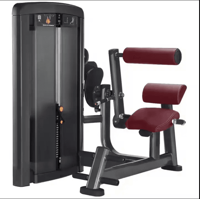 SN008 Back Extension Machine
