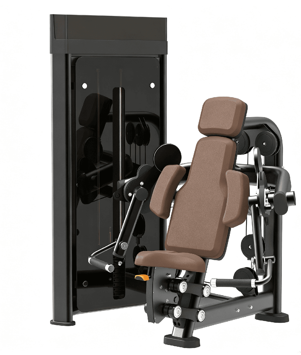 DM005  Biceps Machine
